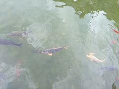 -南诏风情岛