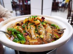 -茶港食堂(武昌店)