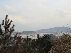 -枸杞岛
