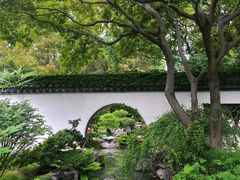 -上海醉白池公园