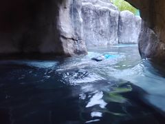 -大理苍山石门关旅游度假区