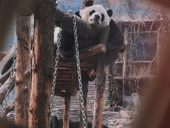 -北京动物园