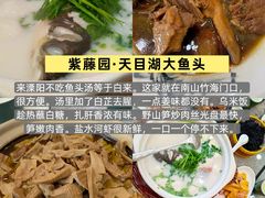 -紫藤园·天目湖大鱼头(南山竹海店)