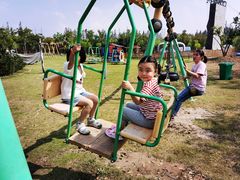 -上海长兴岛郊野公园