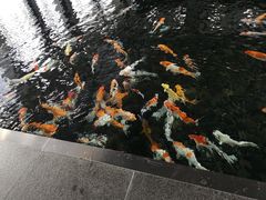 -艺仓美术馆