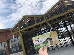 -吴淞炮台湾湿地森林公园烧烤区