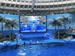 -海合安成都极地海洋公园
