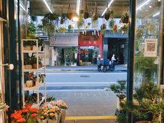 -溪岸路花鸟市场
