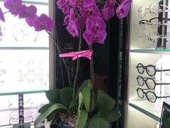 -横岗眼镜城
