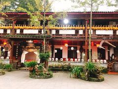 -青城甲(青城山店)