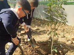 -赫德实验学校(鄞州校区)