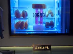-蓉府金足印象(新城市广场26分店)
