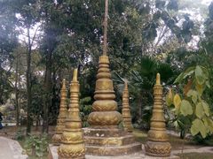 -瑞丽独树成林风景区