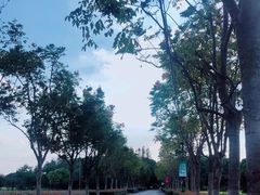 -嘉北郊野公园
