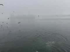 -海驴岛(荣成市)