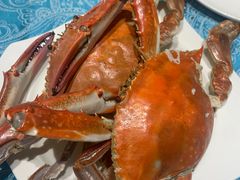 -北塘海鲜·天津菜(大光明桥旗舰店)