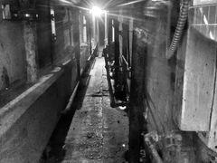 -阿尔卡特拉斯岛