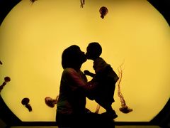 -沈阳海洋探索中心