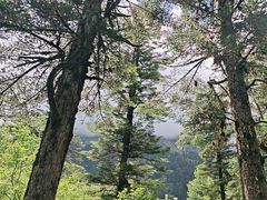 -海螺沟风景区