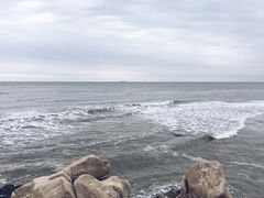 -南戴河国际娱乐中心