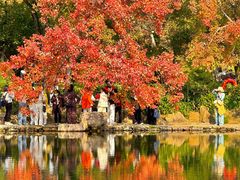 -西山人家·传统苏帮菜·家宴(木渎店)