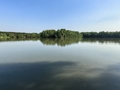 -大湾区中央湿地公园