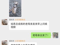 -美联众合动物医院·24h转诊中心