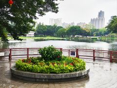 -荔湾湖公园