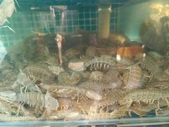 -蟹谢蒸鲜自助餐厅