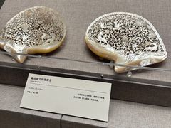 -清华大学艺术博物馆