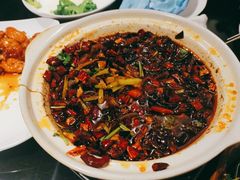 -高第街56号餐厅(泰安万达店)