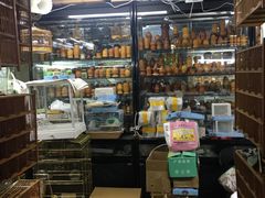 -花鸟鱼虫鲜花绿植市场(玉泉路店)
