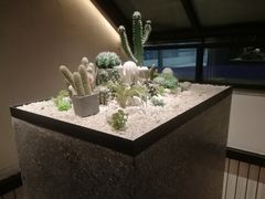 -大树餐厅(红旗街万达店)