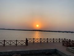 -丁香湖公园