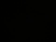 -小董哥烤串(金水花城店)