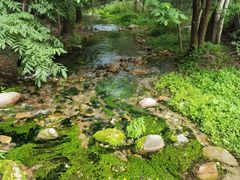 -玉渡山自然风景区