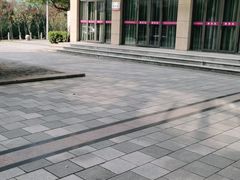 -浙江越秀外国语学院