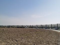 -盐城丹顶鹤湿地生态旅游区