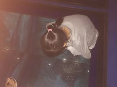 -暹罗海洋世界