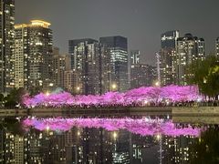 -西北湖绿化广场