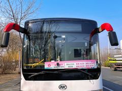 -桃花堤公园