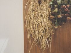 -禾气食店