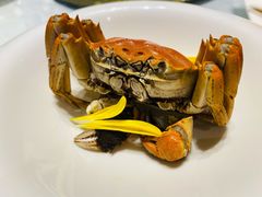 -蟹榭·莳鲜(虹桥高岛屋店)
