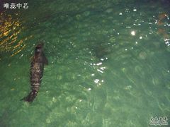 DSC00523-绿色时代大酒店