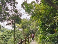 -梧桐山风景名胜区