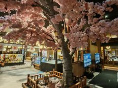 -大江户·温泉洗浴(浑南店)