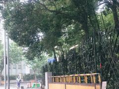 -奈雪的茶(新天地广场PRO店)