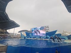 -上海海昌海洋公园