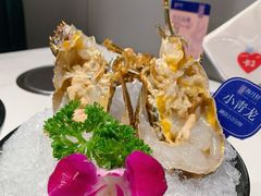 -海月轩海鲜豆捞(紫金塔店)
