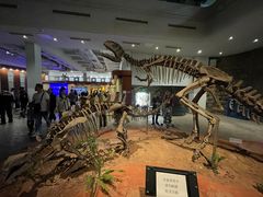 -自贡恐龙博物馆